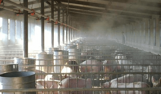 恶臭在线监测系统解决养猪业异味投诉问题